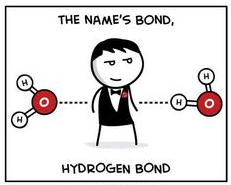 chemist-humor-2-jpg